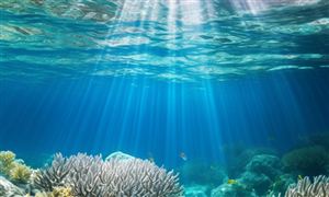 深海采礦行業(yè)面臨困境 2023深海采礦市場深度分析報(bào)告