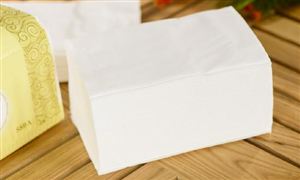 紙巾行業(yè)細分市場數(shù)據(jù)分析 濕廁紙成濕巾用品中表現(xiàn)較好的一大增長類目