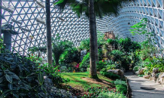 2023年植物園行業(yè)深度調研 我國將再遴選14個國家植物園候選園