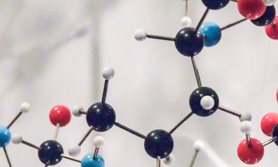 2023年中國分子育種行業(yè)發(fā)展現(xiàn)狀