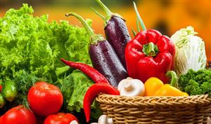 有機食品持續(xù)走熱，線上線下加速融合 2023年中國有機食品行業(yè)發(fā)展現(xiàn)狀