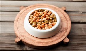 2023寵物食品行業(yè)發(fā)展趨勢(shì)及發(fā)展策略研究