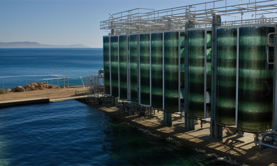 全國現(xiàn)有海水淡化工程150個(gè) 海水淡化行業(yè)市場全景分析