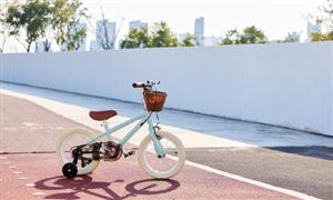 中國(guó)兒童單車行業(yè)深度調(diào)研與發(fā)展趨勢(shì)預(yù)測(cè)研究