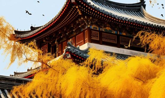 古建筑產(chǎn)業(yè)市場(chǎng)調(diào)研 古建筑產(chǎn)業(yè)未來(lái)發(fā)展趨勢(shì)預(yù)測(cè)