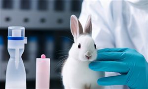 2023中國動物醫(yī)療器械市場現(xiàn)狀分析