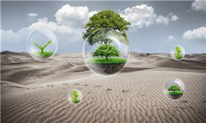 聯(lián)合國氣候變化大會召開在即 官媒稱我國或?qū)l(fā)布甲烷減排計(jì)劃