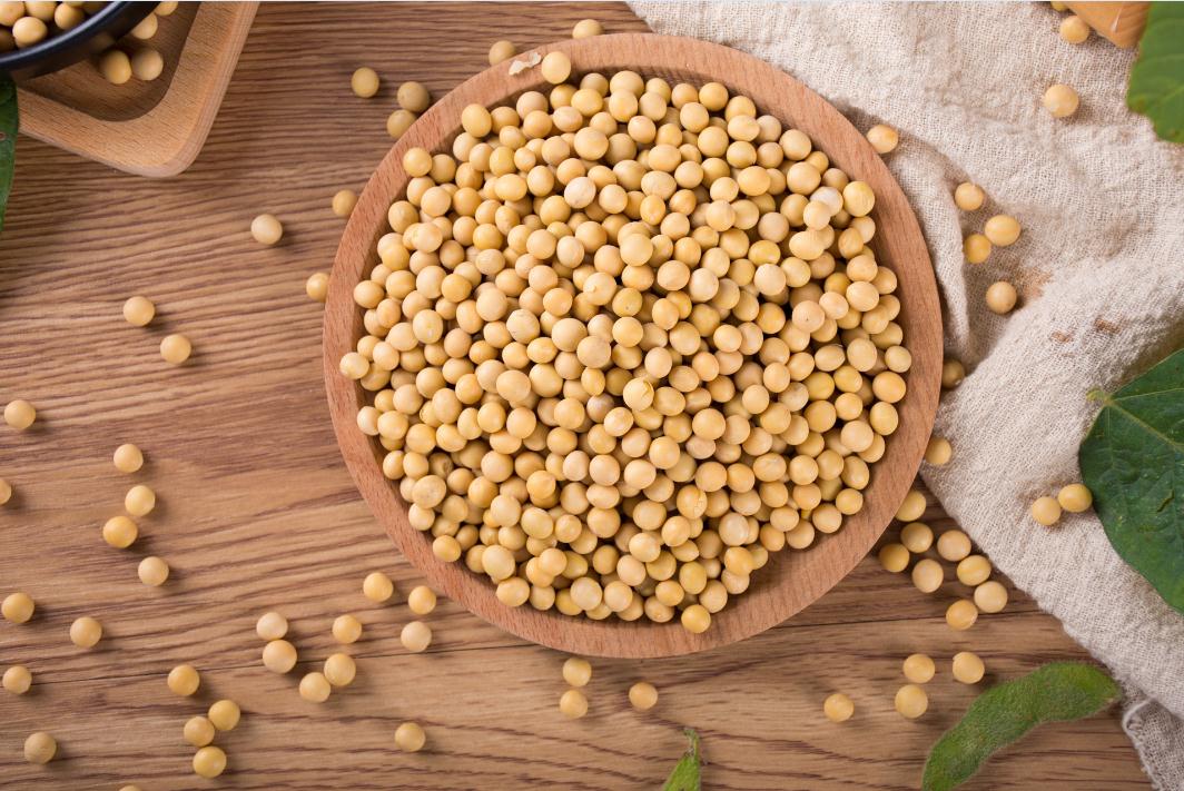 美國大豆種植面積下降 2023國內(nèi)外大豆期貨供需報(bào)告