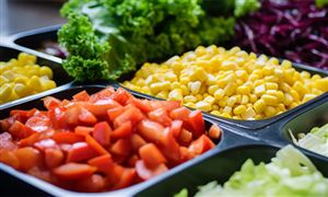 2023素食食品市場(chǎng)發(fā)展現(xiàn)狀：素食預(yù)制菜前景廣闊