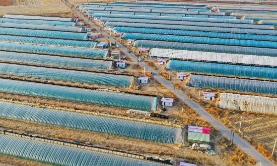 2023—2030年設施農業(yè)建設規(guī)劃：引導設施種植適度向山區(qū)和戈壁、沙漠等非耕地轉移