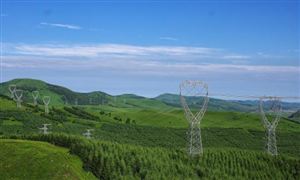 輸配電行業(yè)預(yù)測：預(yù)計我國
