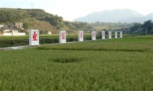 綜合農(nóng)業(yè)行業(yè)發(fā)展分析2024：力爭(zhēng)到2027年農(nóng)民收入達(dá)到2.79萬元左右