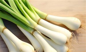 全國(guó)大蔥種植面積達(dá)850萬(wàn)畝 大蔥產(chǎn)品行業(yè)市場(chǎng)需求分析