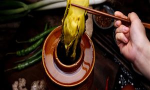 酸菜：曾經(jīng)酸“鄉(xiāng)”可口 酸菜行業(yè)市場機(jī)遇分析2023