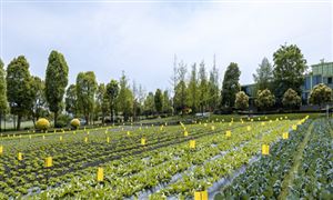 2023轉(zhuǎn)基因技術(shù)行業(yè)發(fā)展機遇深度調(diào)研分析報告
