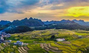 鄉(xiāng)村產(chǎn)業(yè)振興行業(yè)分析 未來鄉(xiāng)村產(chǎn)業(yè)發(fā)展空間廣闊、潛力巨大、大有可為