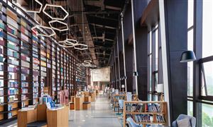 智慧圖書(shū)館市場(chǎng)發(fā)展環(huán)境及機(jī)遇深度調(diào)研2024