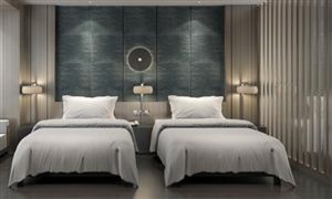 目前我國(guó)主題酒店行業(yè)市場(chǎng)規(guī)模已達(dá)222億元