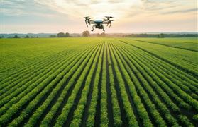 2030設(shè)施蔬菜產(chǎn)量占比提高到40% 2023全國現(xiàn)代設(shè)施農(nóng)業(yè)建設(shè)規(guī)劃