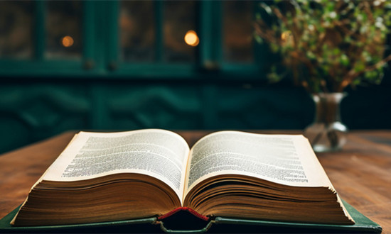 網(wǎng)上書(shū)店行業(yè)市場(chǎng)深度調(diào)研分析及前景趨勢(shì)