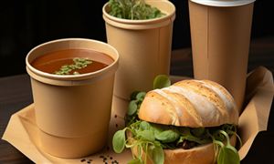 素食食品市場(chǎng)發(fā)展現(xiàn)狀機(jī)遇深度調(diào)研2024