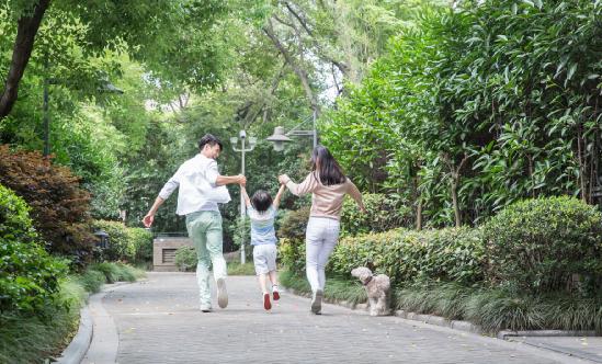 生長激素行業(yè)市場深度分析報(bào)告2024