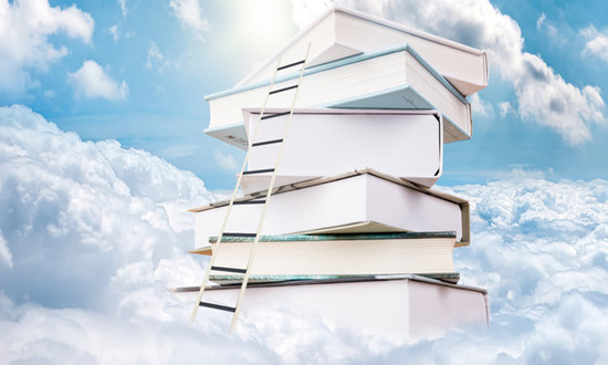 網(wǎng)上書(shū)店行業(yè)現(xiàn)狀及投資機(jī)遇深度調(diào)研分析2024