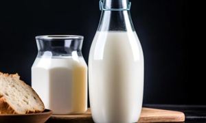 在當(dāng)下健康意識(shí)不斷提升之際  乳酸菌飲料市場出現(xiàn)了新的發(fā)展機(jī)遇