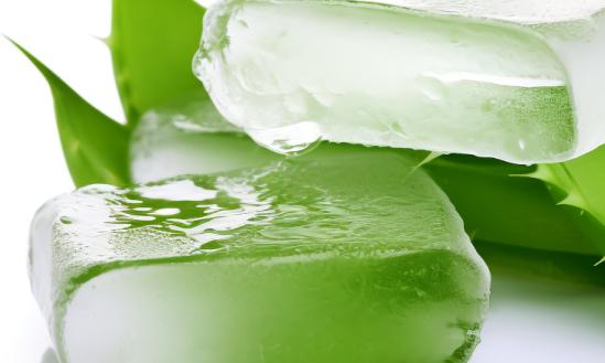 我國蘆薈制品產(chǎn)值10年內(nèi)將達80億元以上,開發(fā)利用前景廣闊?