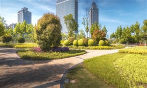 社區(qū)服務市場發(fā)展趨勢及投資機遇分析2024