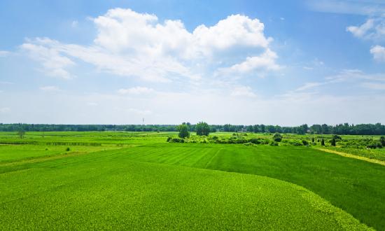 2024年磷肥市場供需求狀況及行業(yè)發(fā)展趨勢分析