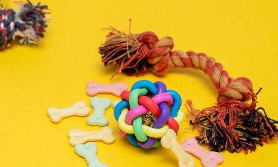 寵物用品及服務(wù)行業(yè)分析：未來(lái)寵物牽引用具有望成為增速較快的寵物用品品類