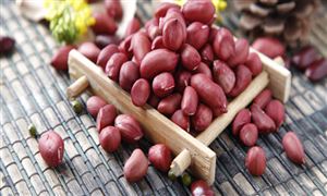 花生種植行業(yè)市場機(jī)遇深度調(diào)研分析2024