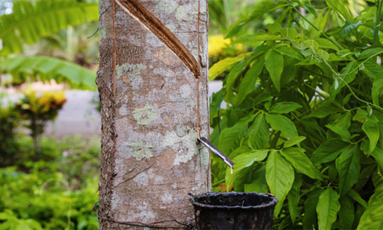 橡膠軟化劑行業(yè)現(xiàn)狀及趨勢(shì)分析：綠色化、低碳化成為橡膠軟化劑行業(yè)發(fā)展趨勢(shì)