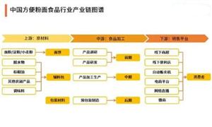 方便面市場(chǎng)投資潛力及前景分析2024