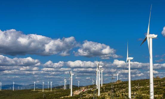 風電塔筒行業(yè)市場深度調研報告2024
