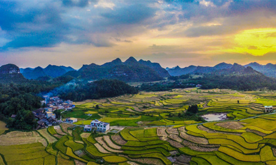 農(nóng)村集體經(jīng)濟未來發(fā)展如何? 農(nóng)業(yè)農(nóng)村部表示：因地制宜發(fā)展新型農(nóng)村集體經(jīng)濟