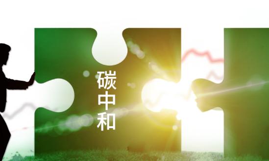 展望2035年數(shù)字經濟將走向繁榮成熟 數(shù)字碳中和產業(yè)現(xiàn)狀分析