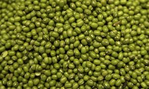 綠豆行業(yè)種植面積、產(chǎn)量及發(fā)展現(xiàn)狀分析