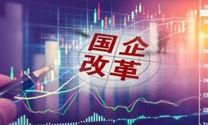 珠海國資委最新發(fā)布 涉及華發(fā)、格力等 國企改革市場發(fā)展前景研究與展望分析報告