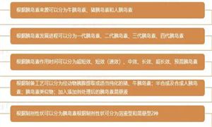 2024胰島素行業(yè)市場(chǎng)發(fā)展前景如何?胰島素行業(yè)市場(chǎng)機(jī)遇分析