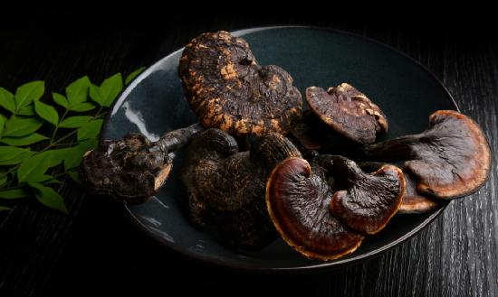 靈芝行業(yè)報告 靈芝行業(yè)發(fā)展現(xiàn)狀深度調研分析