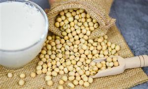 植物蛋白飲料行業(yè)現(xiàn)狀及消費(fèi)趨勢(shì)分析2024
