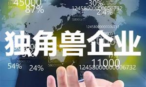 中國獨(dú)角獸企業(yè)發(fā)展現(xiàn)狀與投資機(jī)會(huì)