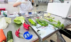 食品安全檢測行業(yè)市場調(diào)研與發(fā)展趨勢：朝著更高效、更精確的方向發(fā)展