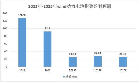 新能源電池行業(yè)龍頭企業(yè)業(yè)務(wù)對(duì)比分析及未來(lái)增長(zhǎng)預(yù)測(cè)