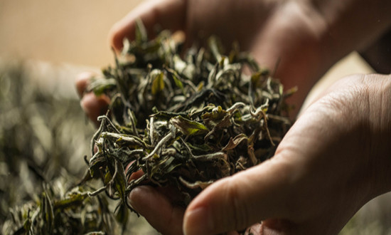 白茶行業(yè)市場(chǎng)發(fā)展現(xiàn)狀及前景機(jī)遇分析