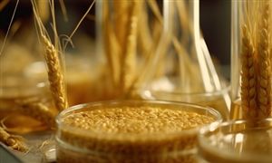 2024年農(nóng)業(yè)生物技術(shù)行業(yè)產(chǎn)業(yè)鏈供需布局分析及發(fā)展前景
