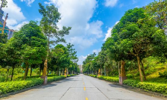 社區(qū)服務(wù)行業(yè)報告 社區(qū)服務(wù)行業(yè)政策環(huán)境分析