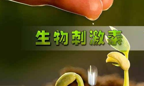 2024年中國生物刺激素行業(yè)的產(chǎn)業(yè)鏈上下游結構及發(fā)展現(xiàn)狀